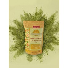 SaltYaşam Kabak Çekirdeği Proteini / Unu 500GR