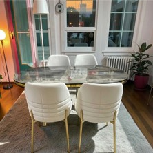 Msy Home 4 Kişilik Monaco Stil Gold Çizgili Krem Kumaş Ironi Oval Masa Modern Yemek Odası Seti