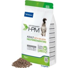 Other Adult Cat Salmon - Neutered & Entıre 3 kg