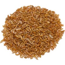 Netx Gammarus (Karides) 25 gr Kaplumbağa ve Balık Yemi  Kurutulmuş. Ürünümüz A Kalitedir .11/2028