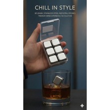AyrStore 6'lı Çelik Metal Kaplama Viski Taşı Soğutma Buz Küpü