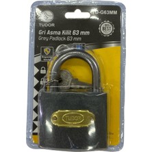 AyrStore Ennalbur Tudor 63 mm Kısa Gri Asma Kilit