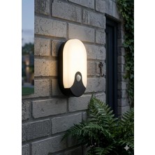 Cata Sensörlü LED (Duvar Aydınlatması) (CT-7093) 20W Dekoratif Aplik