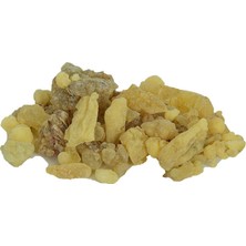 AyrStore Ak Günlük Sakızı Doğal 100 gr Paket