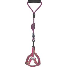 AyrStore Köpek Göğüs Tasma Seti Daa Desenli 2 Cm*40-58 cm Mor-Pembe