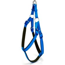 AyrStore Köpek Bel Tasması 95CM Xx-Large Mi