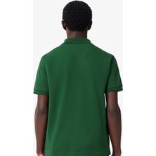 Lacoste Polo Büyük Beden Nefti