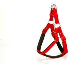 AyrStore Köpek Bel Tasması 85CM X-Large Kırmızı