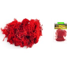 Jordania Ölçekli Mimari Maket Yosun 3011 Kırmızı 10 Gram Je00-0503011