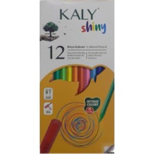 Silka Kuru Boya Kalemi 12 Renk K0001