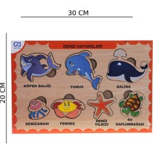 Ca Games Ahşap Deniz Hayvanları Bul-Tak Caahs-3212