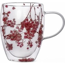 AyrStore 350ML Çift Cidarlı Çiçekli Kupa – Isıya Dayanıklı Çift Katmanlı Cam Çay & Kahve Kupası | Şık