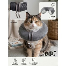 Patiderm Elizabeth Yakalık Yumuşak Ayarlanabilir Kedi Köpek Koruyucu Boyunluk - Ameliyat Sonrası Stres Önleyi
