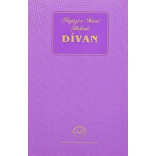 Essah Divanı Niyazi-I Mısri Halveti