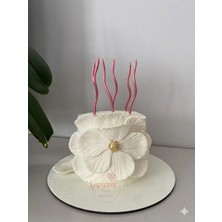 Rönesans Parti 6'lı Spiral Şekilli Pembe Renk Pasta Mumu