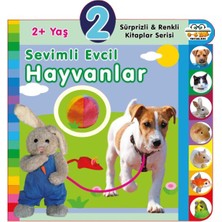 Hayat Store Yaş Sevimli Evcil Hayvanlar (2+Yaş)