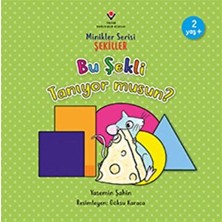 Hayat Store Bu Şekli Tanıyor Musun? - Minikler Serisi Şekiller