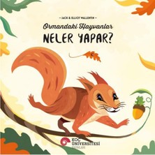 Hayat Store Ormandaki Hayvanlar Neler Yapar?