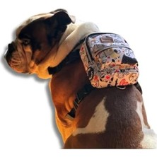 Esranın Dünyası Fonksiyonel Göğüs Tasması ve Sırt Çantası - Ayarlanabilir, Küçük & Büyük Irklar Için