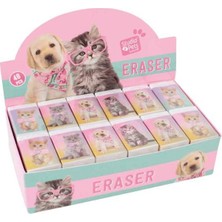 Dolphin Silgi Studio Pets Pt-782 (48 Li Paket)