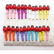 Pinco Mandal Figürlü Uğur Böcekli P-196