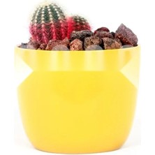 Esranın Dünyası Doğal Kırmızı Pomza Taşı - 2-3 cm Volkanik Cürüf