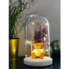 Kiddy World ledli Fanus Orta Boy World Z-a