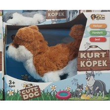 Can Toys Oyuncak Kutulu Sesli Köpek 5115 (Karışık Model 1 Adet)