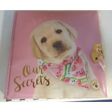 Dolphin Kilitli Hatıra Defteri Studio Pets Pt-7790 (Karışık Renk 1 Adet)