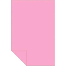 Alex Schoeller Fon Kartonu 160 Gram 25X35Cm No:10 Pembe (100 Lü Paket)