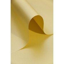 Alex Schoeller Fon Kartonu 160 Gram A4 07 Açık Sarı (100 Lü Paket)