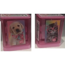 Dolphin Kalemtraş Studio Pets Aynalı Pt-7748 (24 Lü Paket)