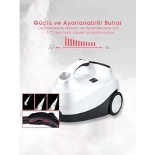 altabi Profesyonel Buharlı Temizlik Makinesi 2000 W 4 Bar Basınç Pi Ran Te Ch