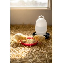 Aksiyon Global Civciv Suluk 0,75 ml Kaliteli Plastik + Tabak Yemlik ( Lisinya )