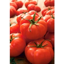 Barakat 250 gr Marmande Domates Tohumu (+-100.000 Adet Tohumu)