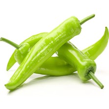 Barakat 250 gr Biber Tohumu Yalova Çarliston 341 (+-40.000 Adet Tohumu)