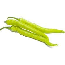 Barakat 250 gr Tatli Sarı Sivri Çorbacı Biber Tohumu (+-40.000 Adet Tohumu)