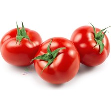 Barakat 250 gr H 2274 Domates Tohumu (+-80.000 Adet Tohumu)