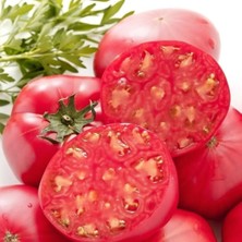 Barakat 200 gr Pembe Domates Tohumu (+-60.000 Adet Tohumu)