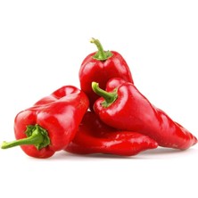 Barakat 250 gr Biber Tohumu Yalova Yağlık 28 Salçalık  (+-35.000 Adet Tohumu)