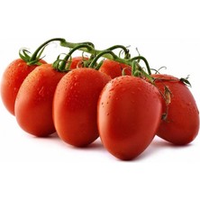 Barakat 200 gr Rio Grande Domates Tohumu (+-70.000 Adet Tohumu)