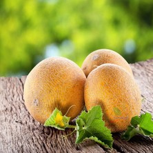 Barakat 250 gr Ananas Kavun Tohumu (+-6.000 Adet Tohumu)