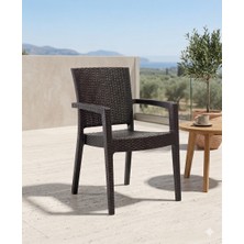 Novussi Paris Rattan Koltuk 4'lü Paket