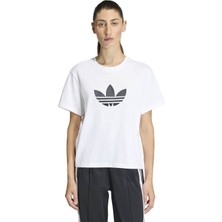 Markali Adidas Trefoıl Boxy T Kadın Beyaz Tişört KD6225