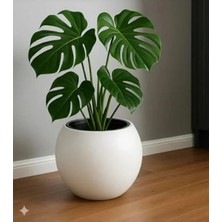 Calperia 27 Litre Kapasiteli Modern Tasarım Küre Saksı - Beyaz Renkli Çiçeklik