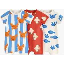 Next Baby Pamuklu Krem Mavi Baskılı 3'lü Romper Set