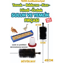 Ovumix Tavuk Suluk ve Yemlik Temizleme Fırçası 45 cm – Büyük Boy (Kaz, Hindi, Ördek, Bıldırcın)