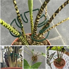 Calperia Yaprak Görünümlü Bitki Destek Klipsi - 4 Adet Yeşil Renk