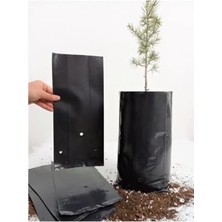 Calperia 1 kg Fidan Poşeti, 15X35 cm Ebatında Fide Torbası
