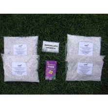 Calperia Perlit+Kök Hormonu + Kök Besini